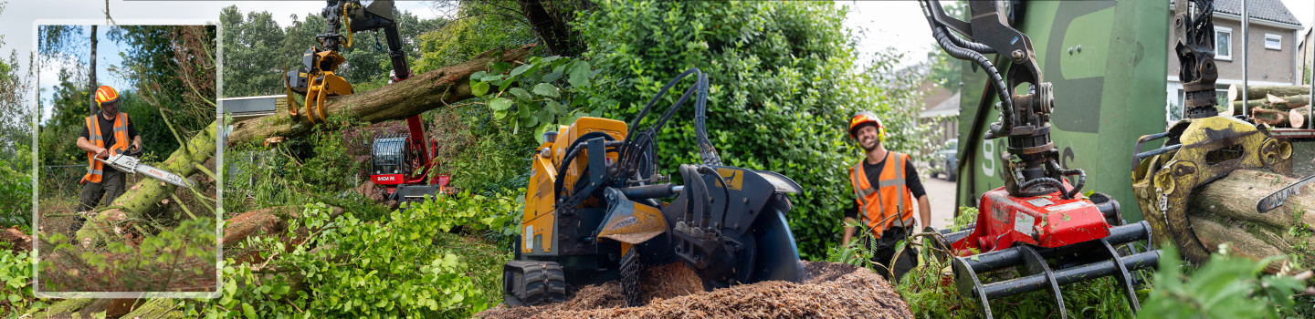 European Tree Worker